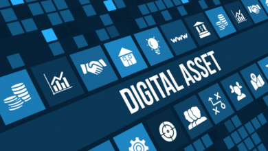 Biitland.com digital assets