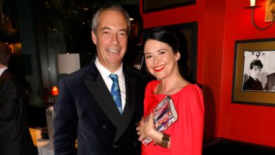 Gráinne Hayes: First Wife of Nigel Farage