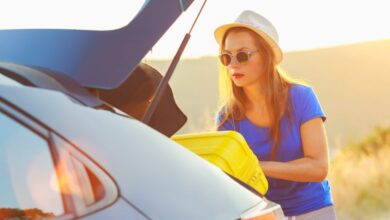 Rena Monrovia: When You Transport Something by Car …