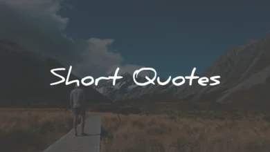 www.quotela.net